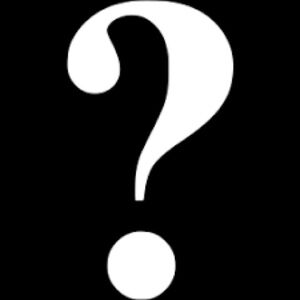 Like New Mystery Dog toy Bundle (5) - Medium Size